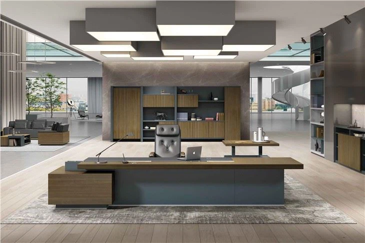 CEO Office Desk